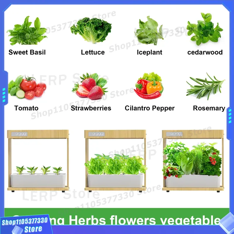 IGS-05 Smart Hydroponic Garden - Smart Garden Design ulasan dan harga