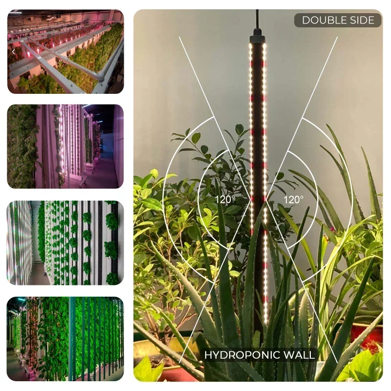 Lampu LED spektrum penuh hidro - Led Plant Light Strip ulasan dan harga