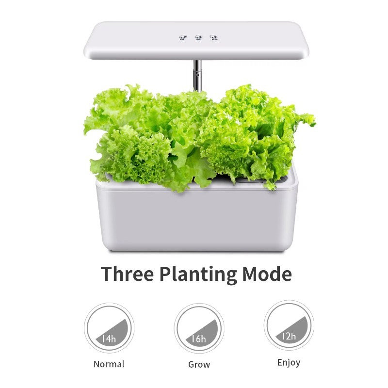 Sistem Hidroponik Dalam Ruanga - Smart Garden Design ulasan dan harga