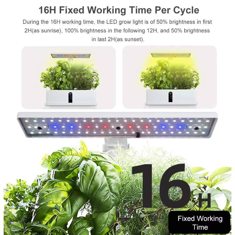Sistem Penanaman Hidroponik Pi - Smart Garden Usa ulasan dan harga