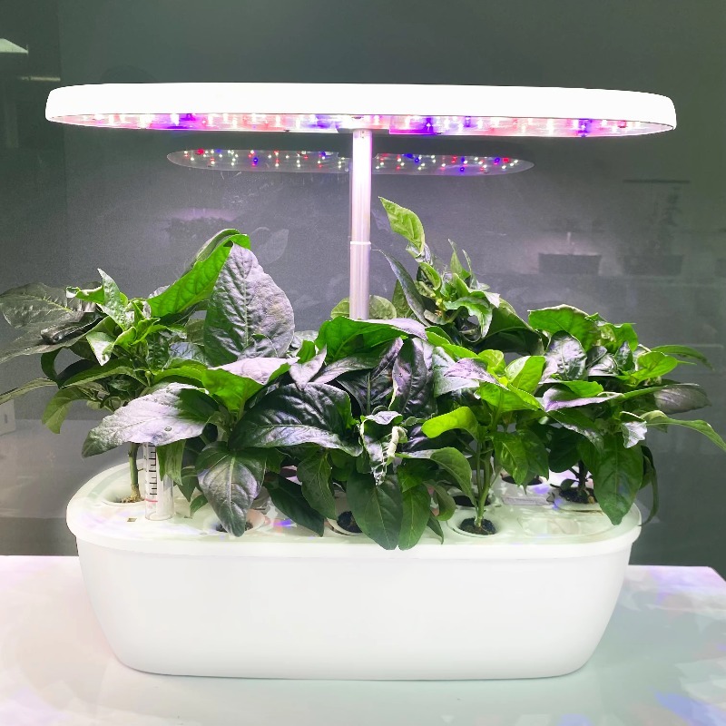 Sistem Kebun Hidroponik Elektr - Smart Garden Design ulasan dan harga