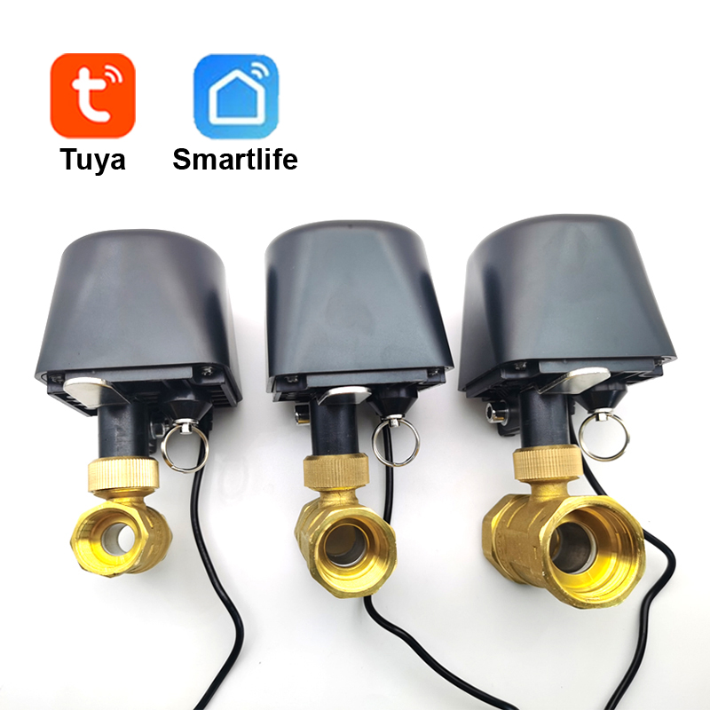 Tuya WiFi atau Zigbee Katup Ai - Smart Garden Timer ulasan dan harga